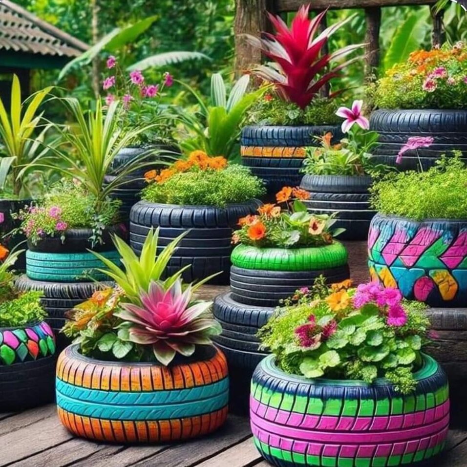 WhatsApp Image 2025-02-26 at 1.22.50 PM